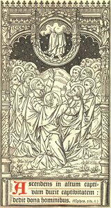 Ascension 17