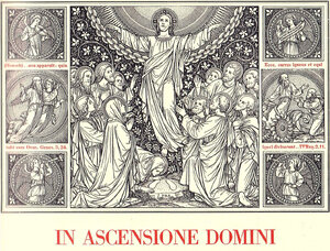 Ascension 7