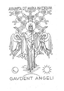 Assumption 11