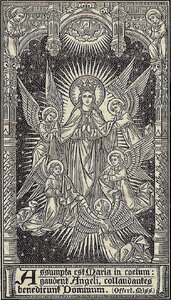 Assumption 12