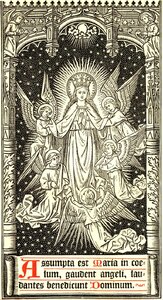 Assumption 7