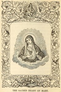 Immaculate Heart of Mary 2