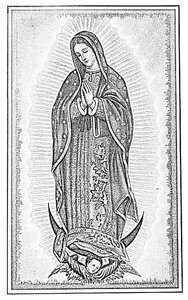 Our Lady of Guadalupe 1