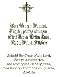 Cross 19