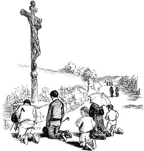 Cross 8