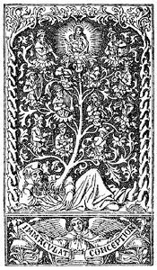 Immaculate Conception 17
