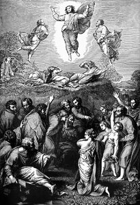 Transfiguration 3
