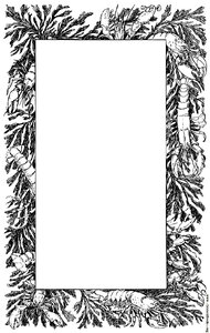 Ornament 15