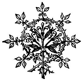 Ornament 28