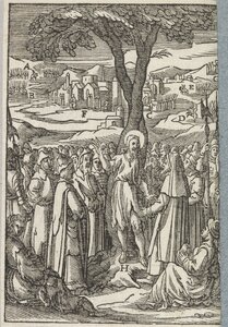 St John the Baptist (Van Sichem)