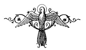 Dove